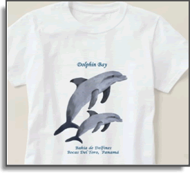 Dolphin Bay II - Island Art by Yotigo Tshirt